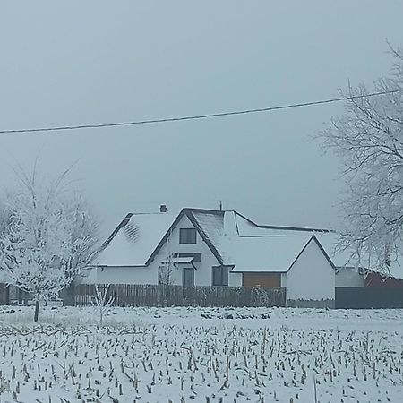 Casuta Din Deal Târgu Neamț Exterior photo