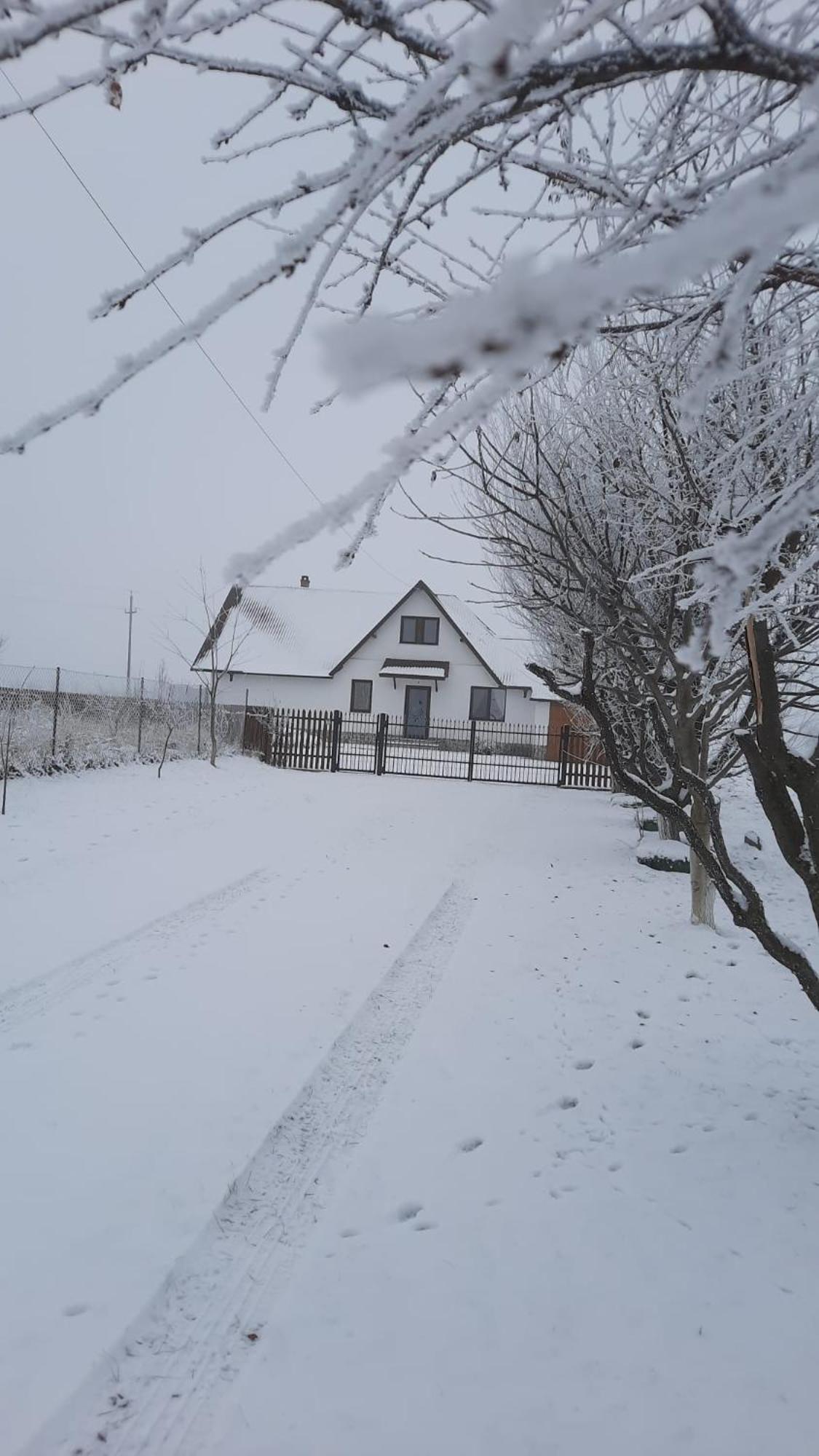 Casuta Din Deal Târgu Neamț Exterior photo