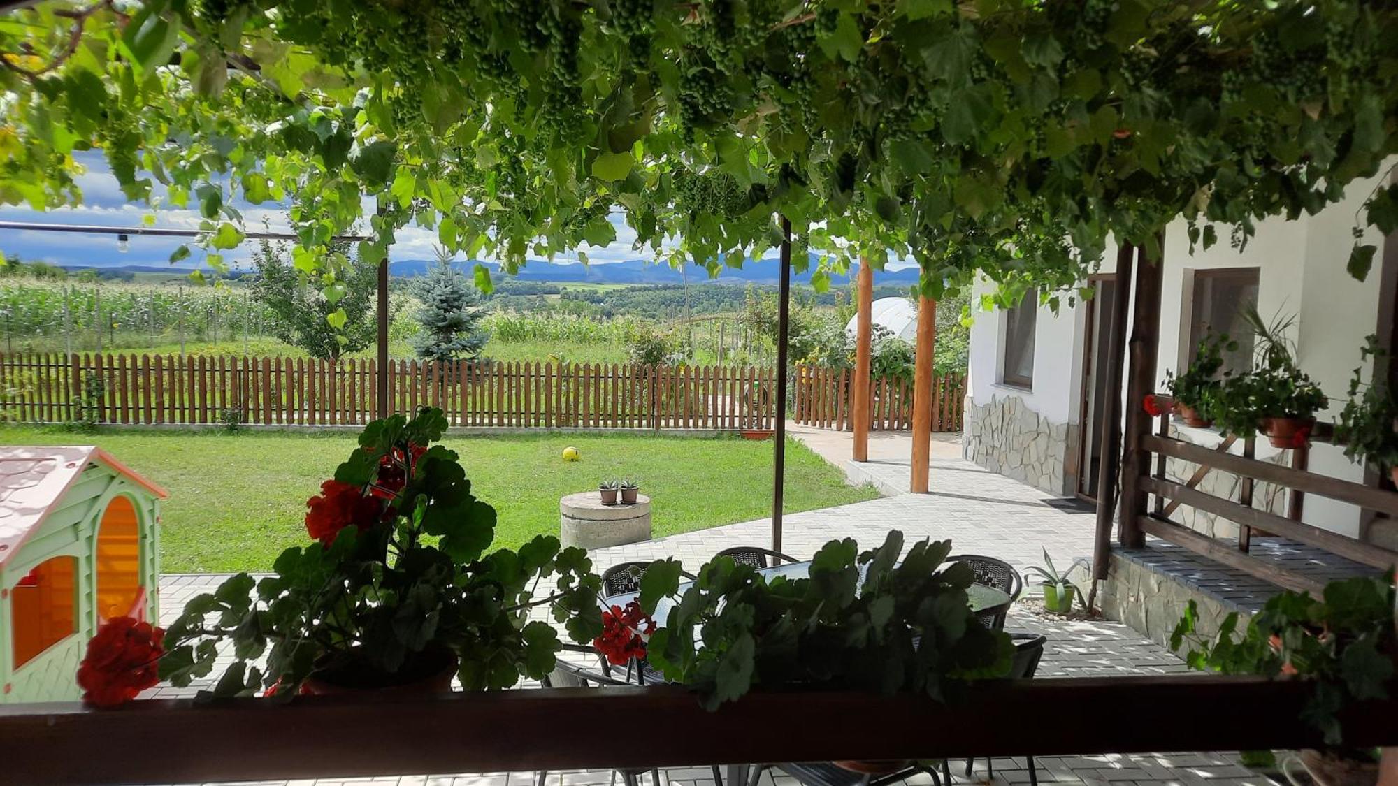 Casuta Din Deal Târgu Neamț Exterior photo